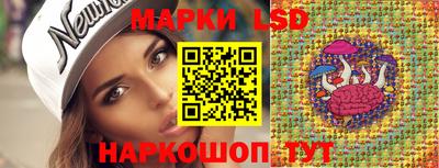 крисы Будённовск
