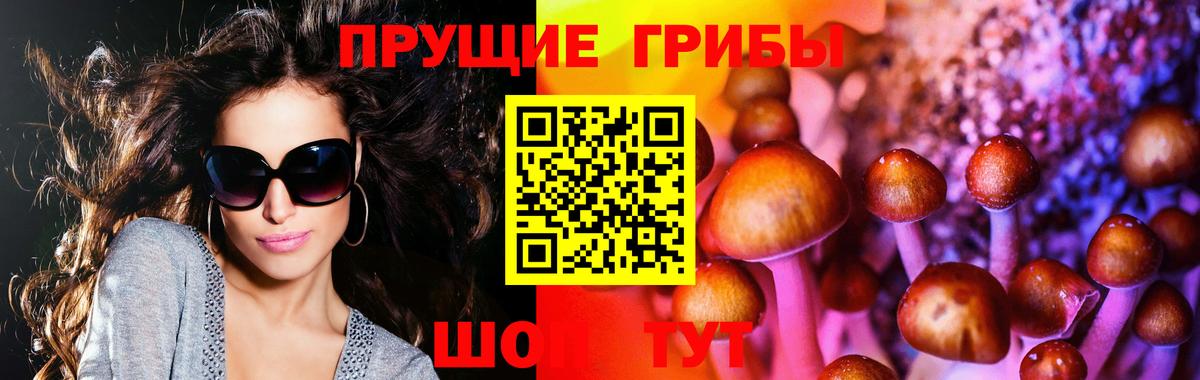 Псилоцибиновые грибы Cubensis  Вход с VPN  Биробиджан 